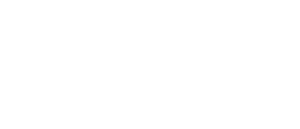 N.E.S. Nachhaltige Energiesysteme